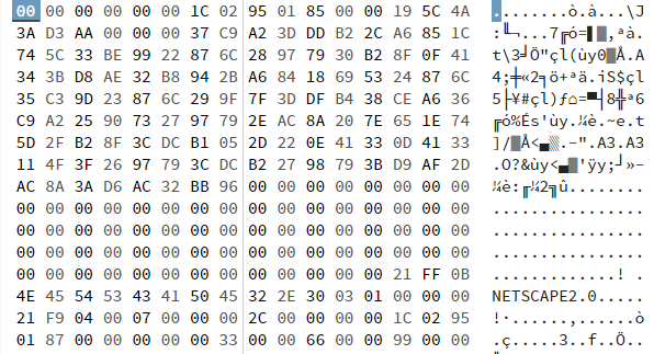 Empty first bytes